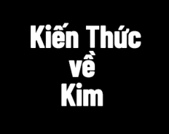  Kiến Thức về Kim