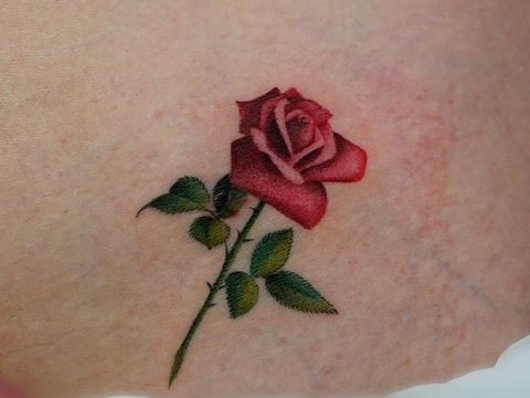 HÌNH XĂM TẢ THỰC MÀU