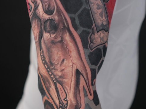 Hình xăm Hình học kết hợp với tả thực Đầu lâu Ngựa. Cánh tay của Johhny