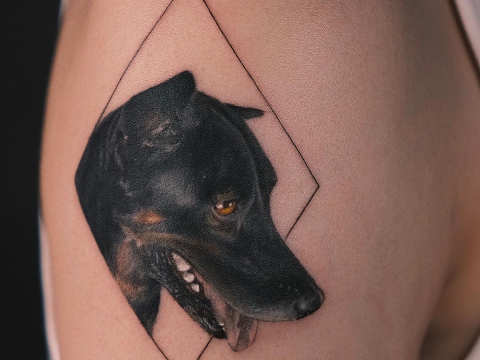 HÌNH XĂM THÚ CƯNG