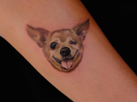 HÌNH XĂM THÚ CƯNG