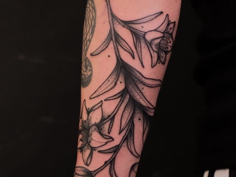 HÌNH XĂM BLACKWORK 