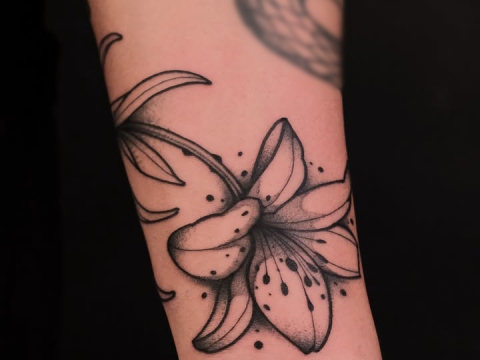 HÌNH XĂM BLACKWORK 