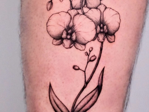 HÌNH XĂM BLACKWORK 