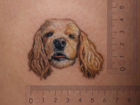 HÌNH XĂM THÚ CƯNG