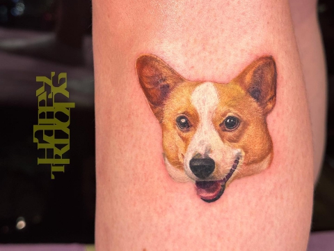 HÌNH XĂM THÚ CƯNG