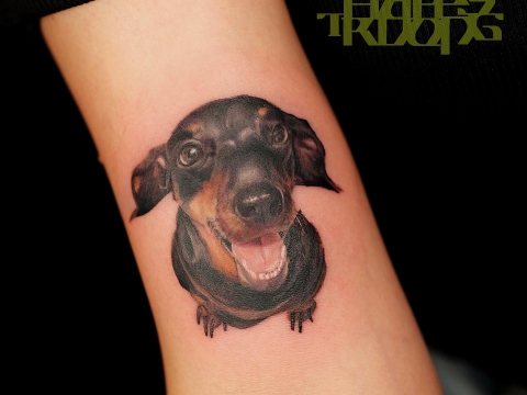 HÌNH XĂM THÚ CƯNG