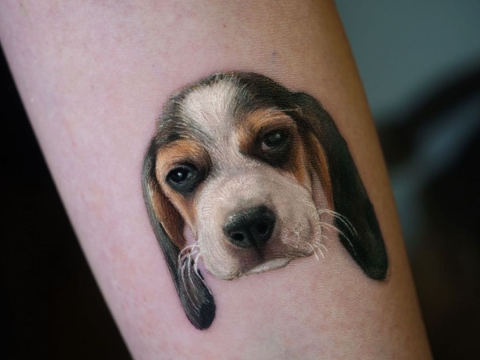 HÌNH XĂM THÚ CƯNG