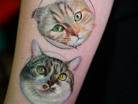 HÌNH XĂM THÚ CƯNG