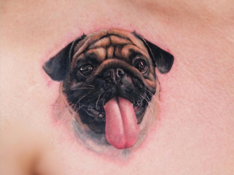 HÌNH XĂM THÚ CƯNG