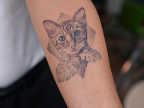 HÌNH XĂM THÚ CƯNG