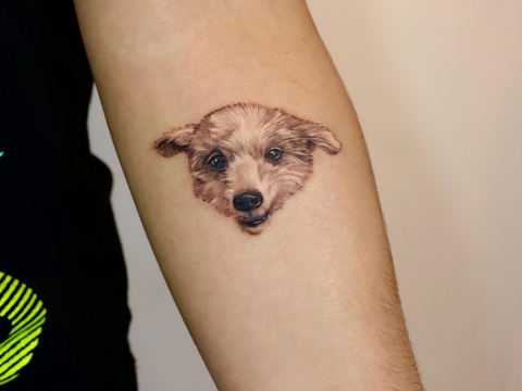 HÌNH XĂM THÚ CƯNG