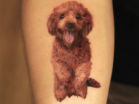 HÌNH XĂM THÚ CƯNG