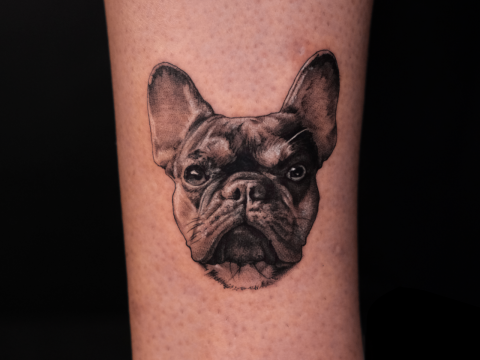 HÌNH XĂM THÚ CƯNG