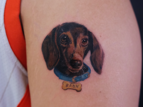 HÌNH XĂM THÚ CƯNG