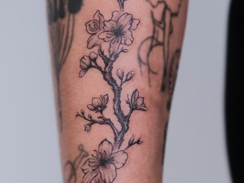 HÌNH XĂM BLACKWORK 