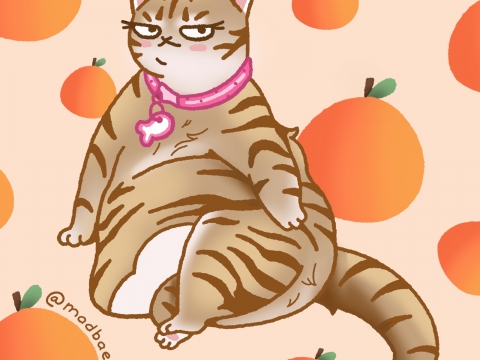 THIẾT KẾ CÓ SẴN