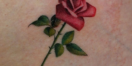 Kỹ thuật  Whip Shading