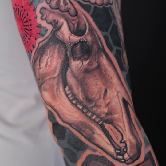 Hình xăm Hình học kết hợp với tả thực Đầu lâu Ngựa. Cánh tay của Johhny